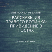 бесплатно читать книгу Привидение в гостях автора Александр Рудазов