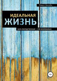 бесплатно читать книгу Идеальная жизнь автора Павел Вособа