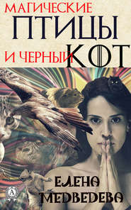 бесплатно читать книгу Магические птицы и чёрный кот автора Елена Медведева