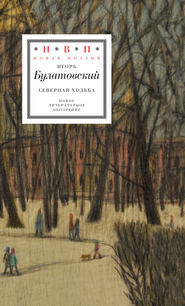 бесплатно читать книгу Северная ходьба автора Игорь Булатовский