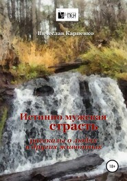 бесплатно читать книгу Истинно мужская страсть автора Вячеслав Карпенко