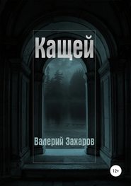 бесплатно читать книгу Кащей автора Валерий Захаров