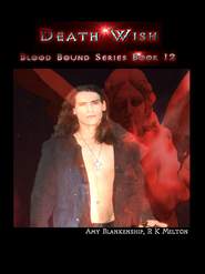 бесплатно читать книгу Death Wish  автора Amy Blankenship