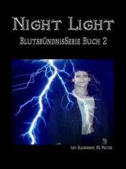 бесплатно читать книгу Night Light автора Amy Blankenship