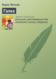 бесплатно читать книгу Галка автора Борис Житков