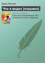 бесплатно читать книгу Что я видел (отрывки) автора Борис Житков