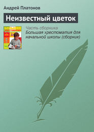 бесплатно читать книгу Неизвестный цветок автора Андрей Платонов