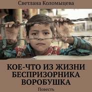 бесплатно читать книгу Кое-что из жизни беспризорника Воробушка. Повесть автора Светлана Коломыцева