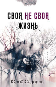бесплатно читать книгу Своя не своя жизнь автора Юрий Сидоров