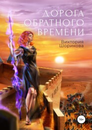 бесплатно читать книгу Дорога обратного времени автора Виктория Шорикова