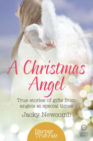 бесплатно читать книгу A Christmas Angel: True Stories of Gifts from Angels at Special Times автора Jacky Newcomb