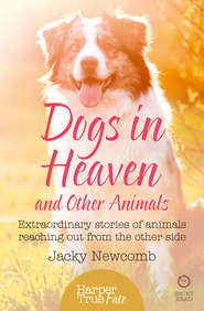бесплатно читать книгу Dogs in Heaven: and Other Animals: Extraordinary stories of animals reaching out from the other side автора Jacky Newcomb