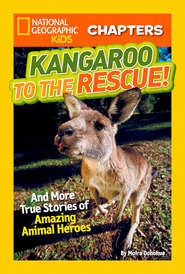 бесплатно читать книгу National Geographic Kids Chapters: Kangaroo to the Rescue!: And More True Stories of Amazing Animal Heroes автора Moira Donohue