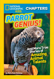 бесплатно читать книгу National Geographic Kids Chapters: Parrot Genius: And More True Stories of Amazing Animal Talents автора Moira Donohue