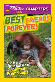 бесплатно читать книгу National Geographic Kids Chapters: Best Friends Forever: And More True Stories of Animal Friendships автора Amy Shields