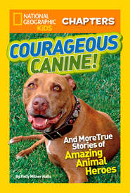 бесплатно читать книгу National Geographic Kids Chapters: Courageous Canine: And More True Stories of Amazing Animal Heroes автора Kelly Halls