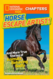 бесплатно читать книгу National Geographic Kids Chapters: Horse Escape Artist: And More True Stories of Animals Behaving Badly автора Ashlee Blewett