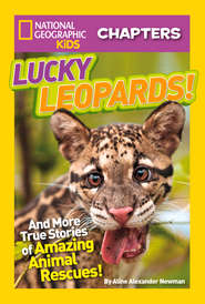 бесплатно читать книгу National Geographic Kids Chapters: Lucky Leopards: And More True Stories of Amazing Animal Rescues автора Aline Newman
