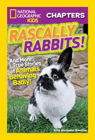 бесплатно читать книгу National Geographic Kids Chapters: Rascally Rabbits!: And More True Stories of Animals Behaving Badly автора Aline Newman