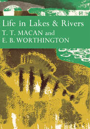 бесплатно читать книгу Life in Lakes and Rivers автора T. Macan