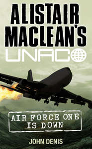 бесплатно читать книгу Air Force One is Down автора John Denis