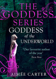 бесплатно читать книгу Goddess of the Underworld автора Aimee Carter