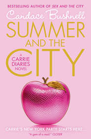 бесплатно читать книгу Summer and the City автора Кэндес Бушнелл