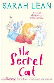 бесплатно читать книгу The Secret Cat автора Sarah Lean