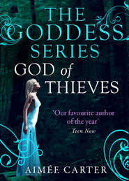бесплатно читать книгу God of Thieves автора Aimee Carter