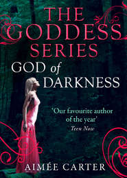 бесплатно читать книгу God of Darkness автора Aimee Carter