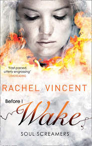 бесплатно читать книгу Before I Wake автора Rachel Vincent