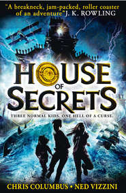 бесплатно читать книгу House of Secrets автора Ned Vizzini