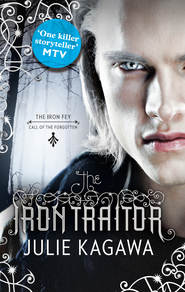 бесплатно читать книгу The Iron Traitor автора Julie Kagawa