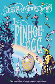 бесплатно читать книгу The Pinhoe Egg автора Diana Jones