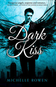 бесплатно читать книгу Dark Kiss автора Michelle Rowen