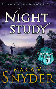 бесплатно читать книгу Night Study автора Maria Snyder