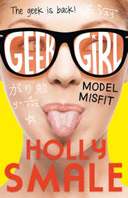 бесплатно читать книгу Model Misfit автора Холли Смейл