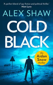 бесплатно читать книгу Cold Black автора Alex Shaw
