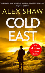 бесплатно читать книгу Cold East автора Alex Shaw