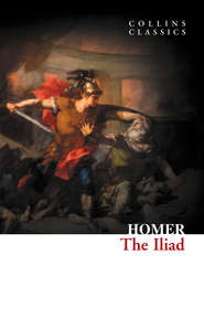 бесплатно читать книгу The Iliad автора  Гомер