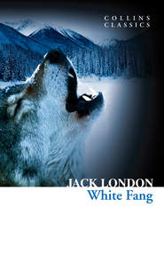 бесплатно читать книгу White Fang автора Джек Лондон