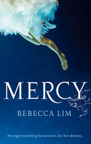 бесплатно читать книгу Mercy автора Rebecca Lim