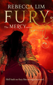 бесплатно читать книгу Fury автора Rebecca Lim