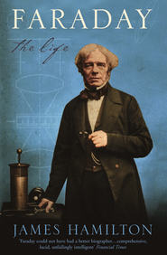 бесплатно читать книгу Faraday: The Life автора James Hamilton