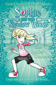 бесплатно читать книгу The Spider Gnomes автора Linda Chapman
