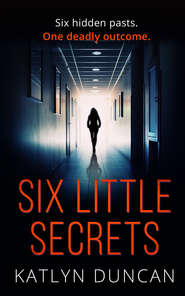 бесплатно читать книгу Six Little Secrets автора Katlyn Duncan