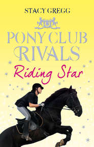 бесплатно читать книгу Riding Star автора Stacy Gregg