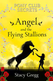 бесплатно читать книгу Angel and the Flying Stallions автора Stacy Gregg