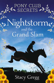 бесплатно читать книгу Nightstorm and the Grand Slam автора Stacy Gregg
