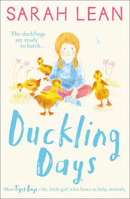 бесплатно читать книгу Duckling Days автора Sarah Lean